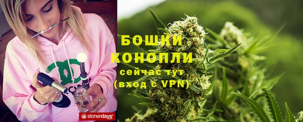 PSILOCYBIN Пестово