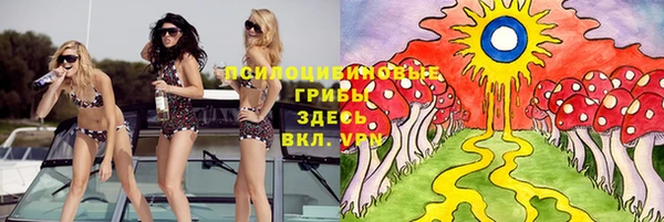 бутират Пересвет