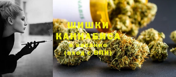 PSILOCYBIN Пестово