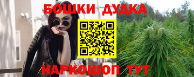 винт Дубна