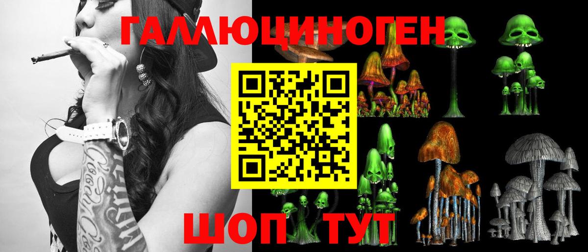 Галлюциногенные грибы Psilocybe Кушва